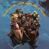 Juicy Fruit (Disco Freak) artwork