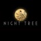 Ships - Night Tree lyrics