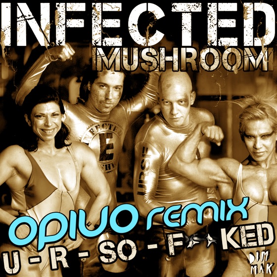 Cover artwork for U R so Fucked