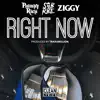 Right Now (feat. SOB X RBE & Ziggy) - Single album lyrics, reviews, download