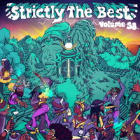 Various Artists - Strictly the Best, Vol. 58 artwork