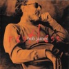 Bob James - Into the Light