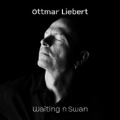 Waiting 'n' Swan artwork