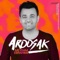 Aroosak - Meysam Ebrahimi lyrics