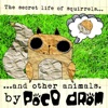 The Secret Life of Squirrels