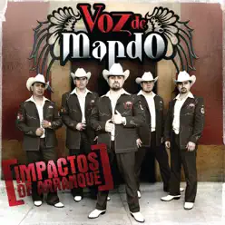 Impactos de Arranque - Voz De Mando Impactos de Arranque - Voz De Mando