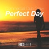 Perfect Day (Remixes) - EP