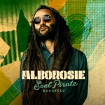 Alborosie - Kingston Town