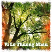 Vi Lo Thuong Nhau artwork
