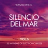 Silencio De Mar (25 Anthems of Electronic Breeze), Vol. 5, 2017