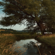 Hundred Acres - S. Carey