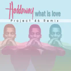 What Is Love (Project 46 Remix) - Single - Haddaway
