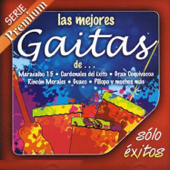 La Mejores Gaitas de... - Various Artists