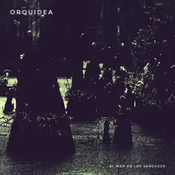 El Mar de Los Sargazos - EP - Orquídea El Mar de Los Sargazos - EP - Orquídea