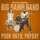 The Reverend Peyton's Big Damn Band-You Can't Steal My Shine
