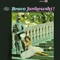 An der schönen blauen Donau - Horst Jankowski lyrics