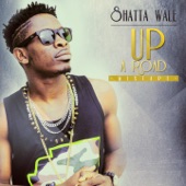 Shatta City artwork