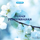 Pujian Penyembahan, Vol. 6 artwork