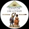 Like a Dream - Eskapizm lyrics