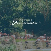 Gardenhead - Underwater