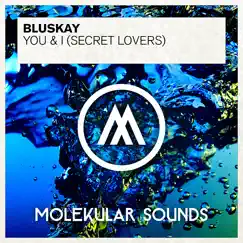 You & I (Secret Lovers) - Single by Bluskay album reviews, ratings, credits