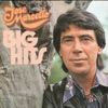 Big Hits, 1976