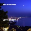 Vinyl Groove - Single