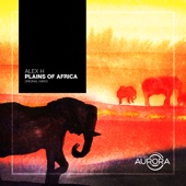 Plains of Africa artwork