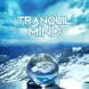 Tranquil Mind: Try to Relax with Soothing New Age Music album lyrics, reviews, download