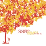 Accidentally In Love by Counting Crows