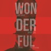 Wonderful (feat. Wande Coal & Sarkodie) - Single