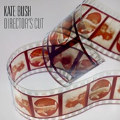 Kate Bush - This Woman's Work (Director's Cut)