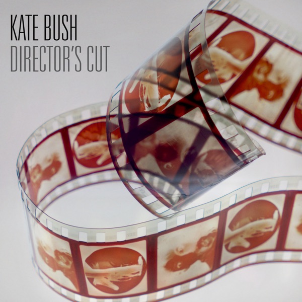 Director's Cut (Remastered) - Kate Bush