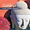 Stream & download Control Your Inner Energy: Manage Yourself, Sahaja Meditation, Feminine Empoverment, Transform Internal, Overcome Anxiety