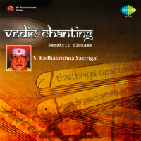 S. Radhakrishna Sastrigal - Vedic Chanting artwork