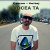 Vocea Ta (feat. Voltaj) - Single