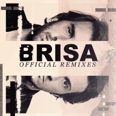 Brisa (Remixes) [feat. Zoo] artwork