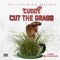 Cut the Grass (feat. Zone 28 Grams & Nicole) - Cuddy lyrics