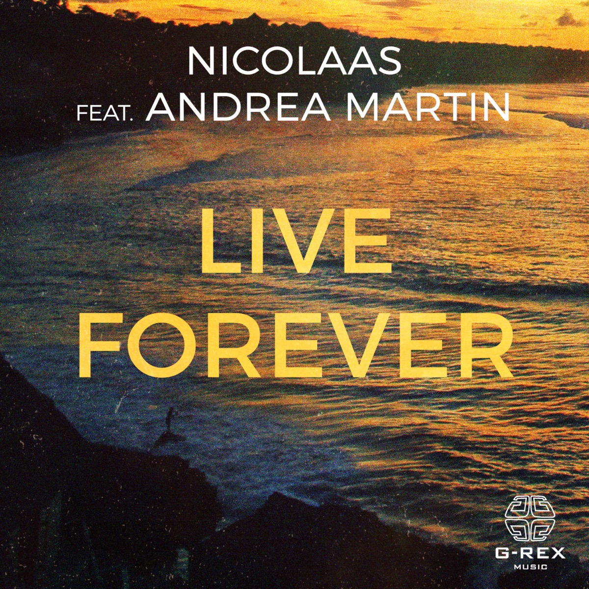 NICOLAAS - Live Forever (feat. Andrea Martin) - Single