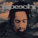 Speech - Ask Somebody Who Ain't (If You Think the System's Workin'...)
