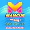 Sex You Up (James Bluck Remix) - Single