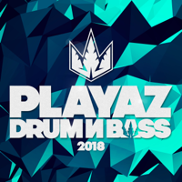 Various Artists - Playaz Drum & Bass 2018 artwork