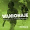 Wanionaje (feat. Idd Aziz) - Max Doblhoff lyrics