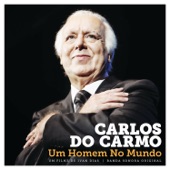 Um Homem No Mundo artwork