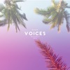 Voices, 2017
