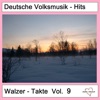 Deutsche Volksmusik-Hits: Walzer-Takte, Vol. 9