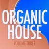 Organic House, Vol. 3, 2012