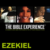 Zondervan - Inspired By … The Bible Experience Audio Bible - Today's New International Version, TNIV: (23) Ezekiel artwork