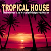 Tropical House (Continuous DJ Mix) artwork