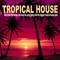 Tropical House (Continuous DJ Mix) artwork